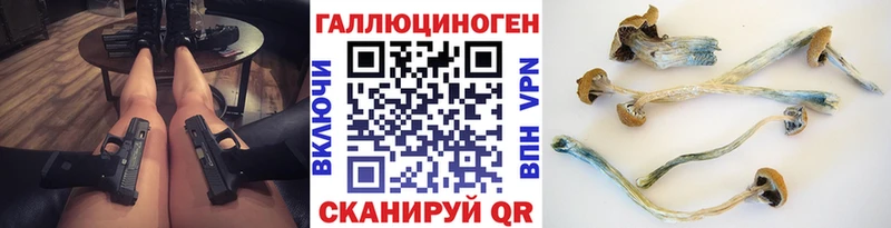 Купить закладки  Нурлат  Галлюциногенные грибы Psilocybine cubensis 